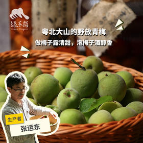 生态青梅（广东）| 合作生产 * Ecological green plum | Partner Production