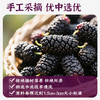 一米市集 桑葚脆脆30g 商品缩略图2