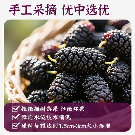 一米市集 桑葚脆脆30g 商品图2