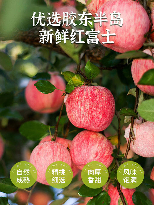 一米市集 苹果肉肉80g 商品图1