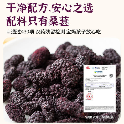 一米市集 桑葚脆脆30g 商品图3