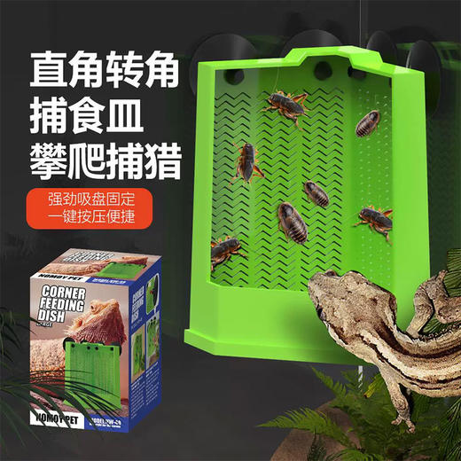 美国 Nomoy Pet 转角捕食器 NW-48 适用多种爬宠喂食 宠物用品 大号 商品图0