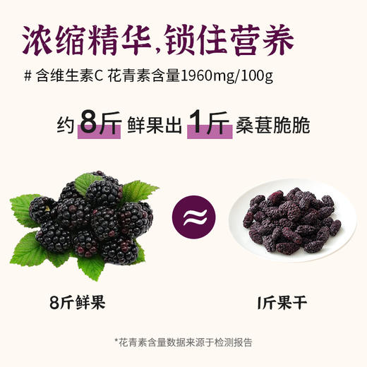 一米市集 桑葚脆脆30g 商品图4