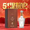 【五一狂欢 满6瓶-60】五粮液 财富人生 贵宾钻 浓香型 52度 500ml 商品缩略图0