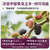 一米市集 桑葚脆脆30g 商品缩略图1