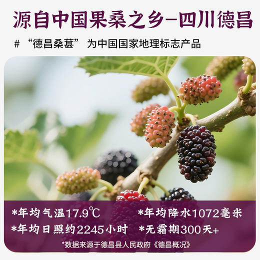 一米市集 桑葚脆脆30g 商品图1