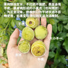 生态青梅（广东）| 合作生产 * Ecological green plum | Partner Production 商品缩略图1