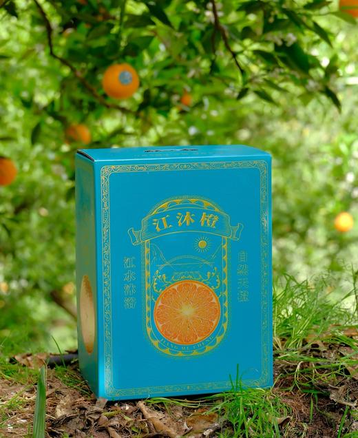 海南三亚红玉芒+新疆阿克苏美早大樱桃+秭归江边伦晚春橙+山东玉菇翡翠蜜瓜 商品图2