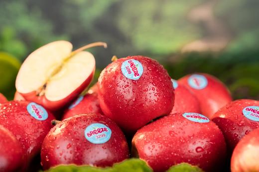 万寿斋全家福早点套餐418型+新西兰微风苹果+海南芒果凤梨 商品图1