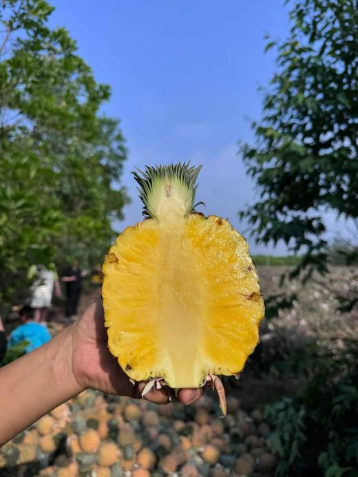 万寿斋全家福早点套餐418型+新西兰微风苹果+海南芒果凤梨 商品图2