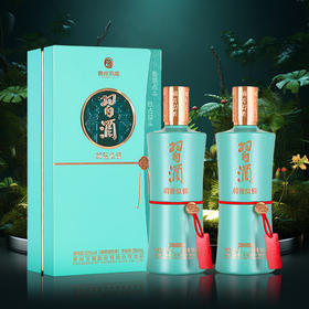 【五一大促】 习酒 前程似锦 酱香型 53度 500ml *2
