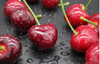 山东美早大樱桃 商品缩略图6