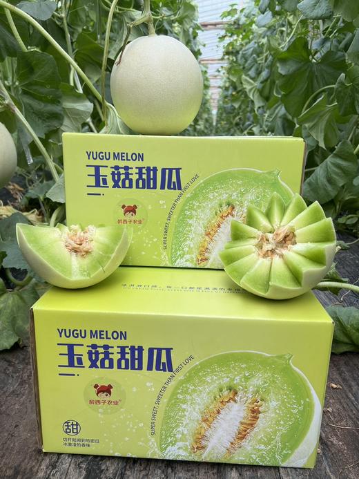 海南三亚红玉芒+新疆阿克苏美早大樱桃+秭归江边伦晚春橙+山东玉菇翡翠蜜瓜 商品图3