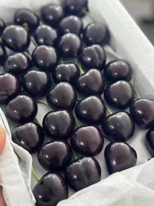 大连俄罗斯八号樱桃+云南建水夏黑葡萄+云南大理高原沃柑 商品图0