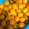 生态圣女果 | 合作生产*Ecological "Saint" Tomato| Partner Production 商品缩略图2