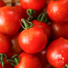 生态圣女果 | 合作生产*Ecological "Saint" Tomato| Partner Production 商品缩略图3