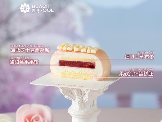（配送到家）韶华·限定四件小慕斯 商品图5