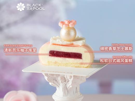 （配送到家）韶华·限定四件小慕斯 商品图4