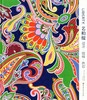 推荐书单 | 艺柏缇:设计·纹样·色彩 商品缩略图0