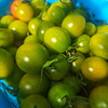 生态圣女果 | 合作生产*Ecological "Saint" Tomato| Partner Production 商品缩略图1