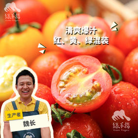 生态圣女果 | 合作生产*Ecological "Saint" Tomato| Partner Production