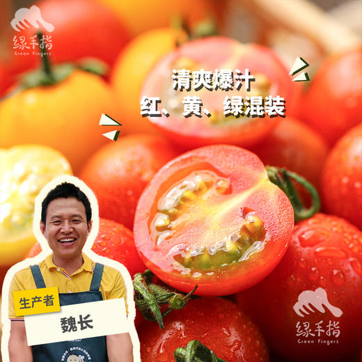 生态圣女果 | 合作生产*Ecological "Saint" Tomato| Partner Production 商品图0