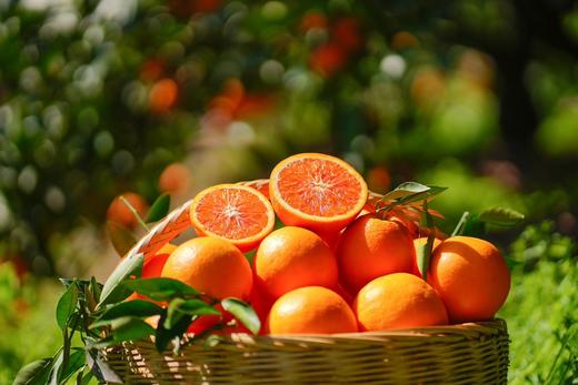 新西兰微风苹果+泰国奶香椰皇+中华红血橙 商品图2