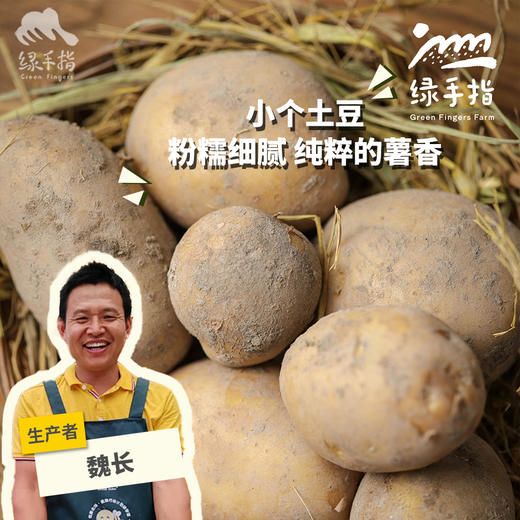 生态土豆 | 合作生产*Ecological "Saint" Tomato| Partner Production 商品图0