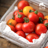 生态圣女果 | 合作生产*Ecological "Saint" Tomato| Partner Production 商品缩略图4