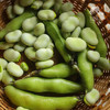 生态带荚鲜蚕豆（安徽 京东快递）| 合作生产*Ecological broad beans | Coproduction 商品缩略图3