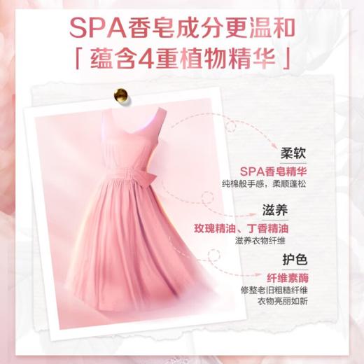 DH 立白大师香氛高端天然香皂粉 800g 商品图4