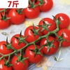 【预售】7斤/箱 枝纯水果番茄（串）  189650 商品缩略图0