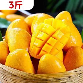 【预售】3斤 海南小台农芒果  9147