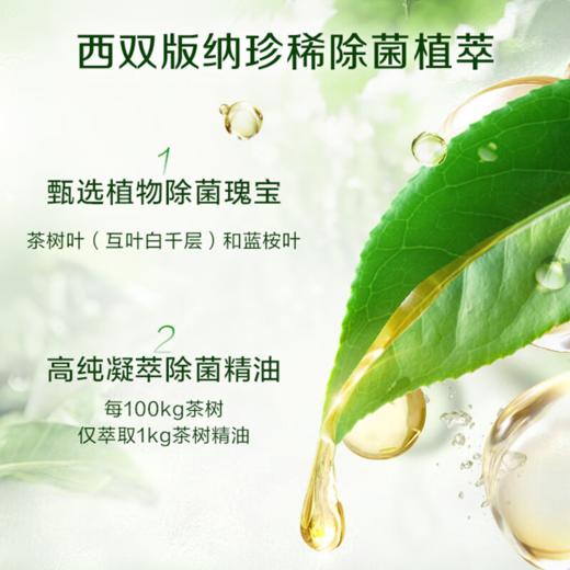 DH 立白卫仕除菌洗衣液青翠茶园 2kg*1瓶 商品图2