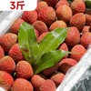 【预售】3斤海南优选妃子笑荔枝   9149 商品缩略图0