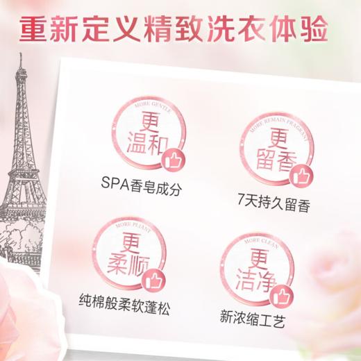DH 立白大师香氛高端天然香皂粉 800g 商品图2