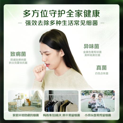 DH 立白卫仕除菌洗衣液雨林茶花 1kg*1瓶 商品图2