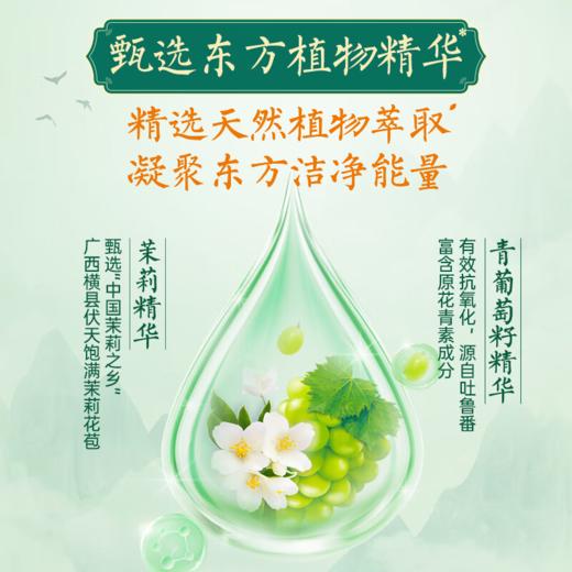 DH 立白精品青提茉莉洗洁精 488g 商品图2