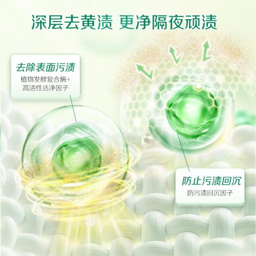 DH 立白卫仕除菌洗衣液雨林茶花 1kg*1瓶 商品图4