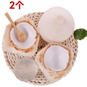 【预售】2个椰青（个） 22608