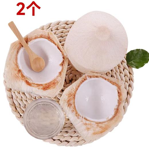 【预售】2个椰青（个） 22608 商品图0