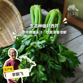 生态河北西芹 | 合作生产*Eco-celery | Coproducted