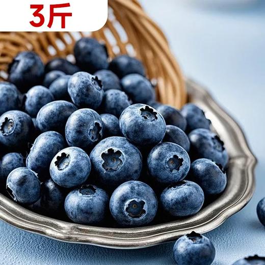 【预售】一箱12盒 云南蓝莓 14mm    220365 商品图0