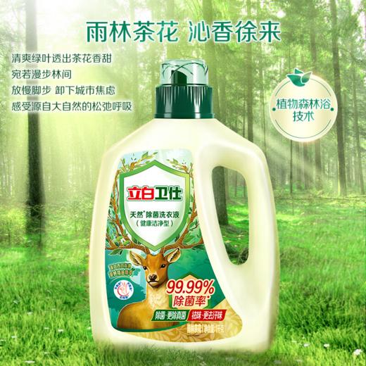 DH 立白卫仕除菌洗衣液雨林茶花 1kg*1瓶 商品图6