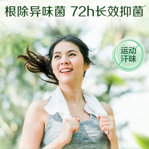 DH 立白卫仕除菌洗衣液青翠茶园 2kg*1瓶 商品图4