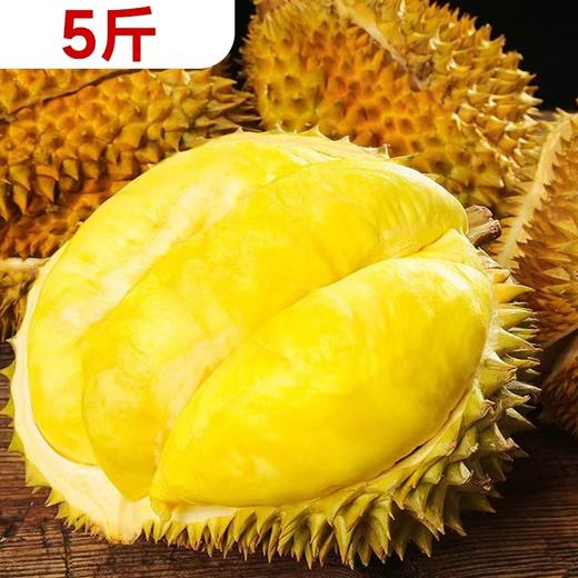 【预售】 5斤 泰国金枕榴莲B级 13837 商品图0