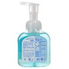 威露士泡沫洗手液 健康呵护300ml(E2-03-11) 商品缩略图1
