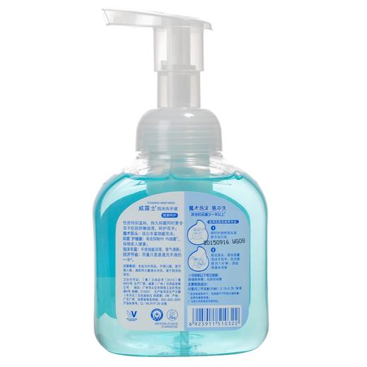 威露士泡沫洗手液 健康呵护300ml(E2-03-11) 商品图1