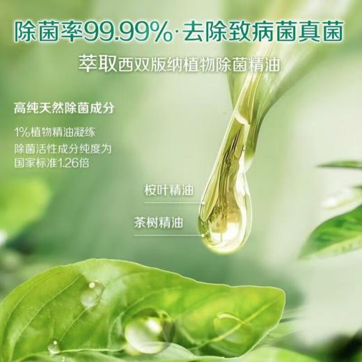 DH 立白卫仕除菌洗衣液雨林茶花 2kg*1瓶 商品图4