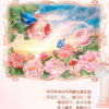 DH 立白大师香氛洗衣皂 180g*2块*1组 商品缩略图2